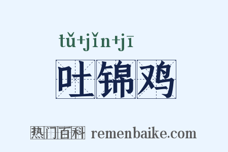 吐锦鸡是什么意思的图片